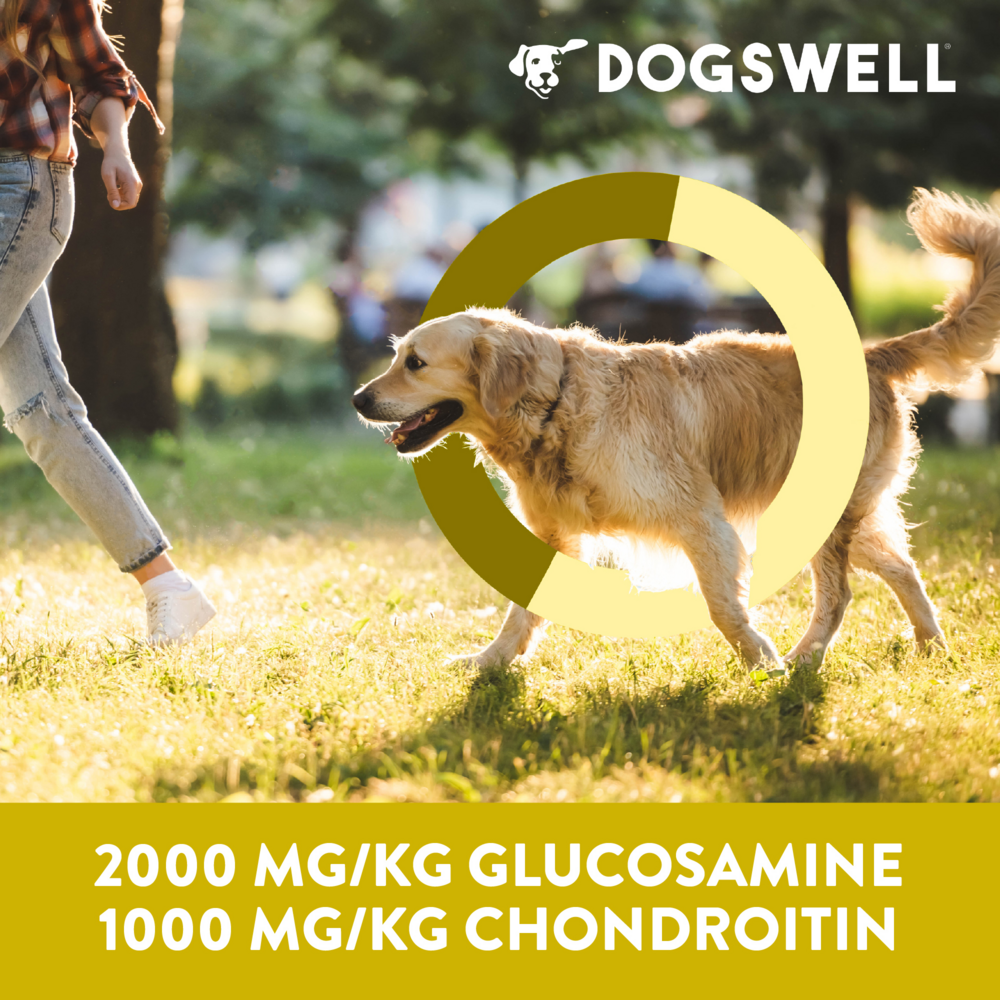 
                  
                    Dogswell Hip & Joint Grillers Chicken Dog Treats
                  
                