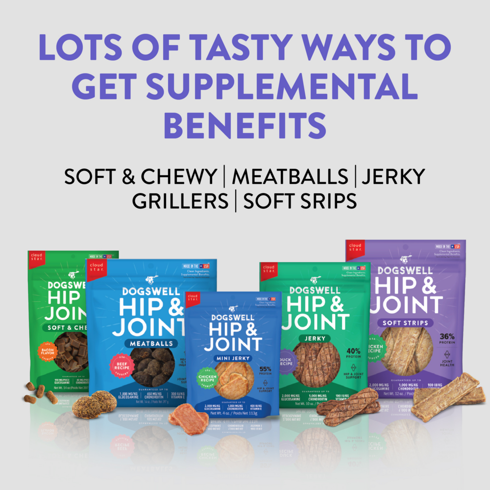 
                  
                    Dogswell Hip & Joint Jerky Beef Dog Treats
                  
                