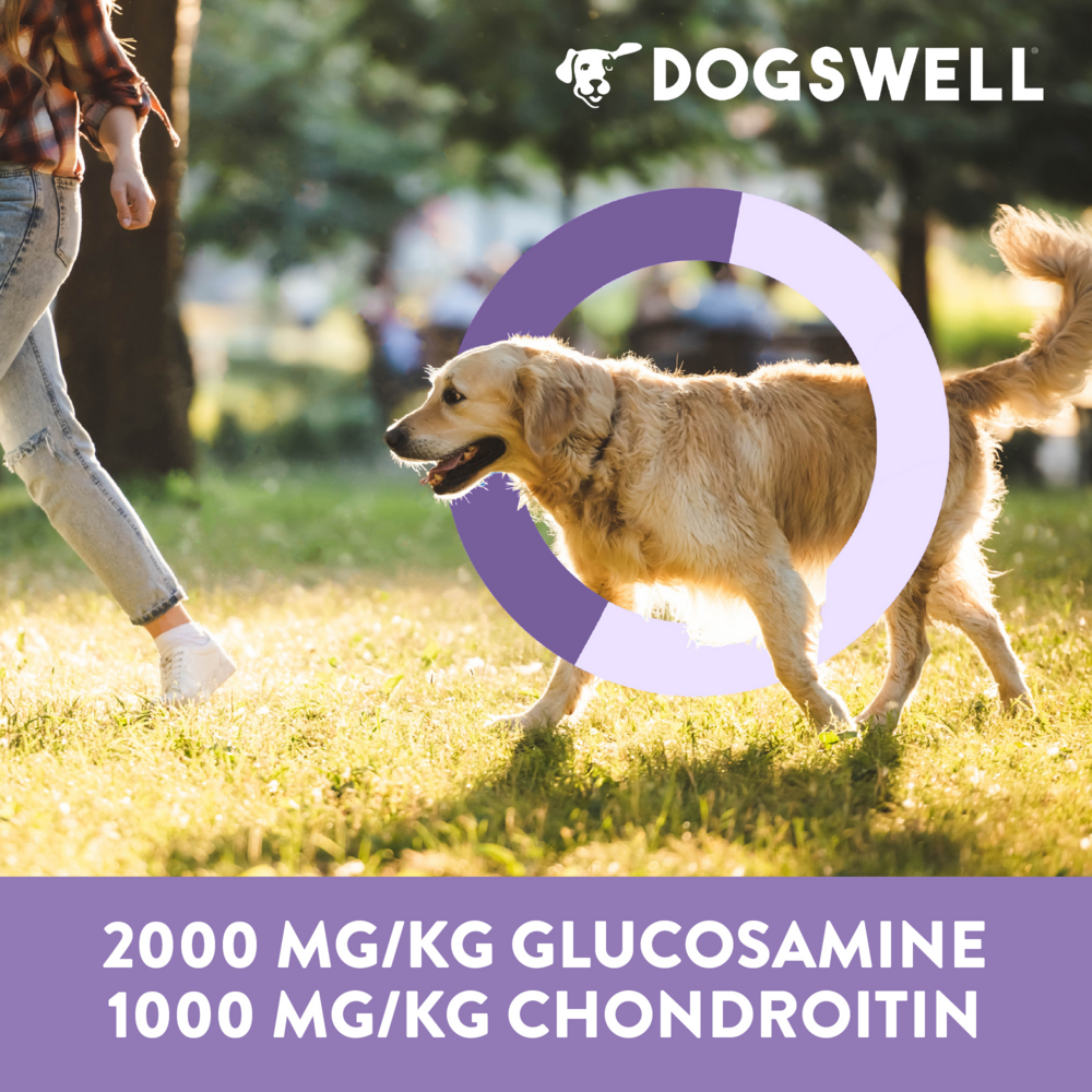 
                  
                    Dogswell Hip & Joint Soft Strips Chicken Dog Treats
                  
                