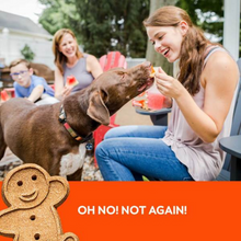 Load image into Gallery viewer, Buddy Biscuits Crunchy Peanut Butter Dog Treats