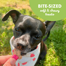 Load image into Gallery viewer, Buddy Biscuits Softies Soft &amp; Chewy Grain Free Roasted Chicken Dog Treats