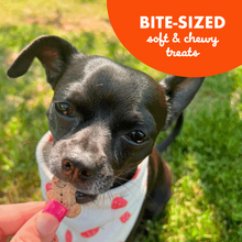 Load image into Gallery viewer, Buddy Biscuits Softies Soft &amp; Chewy Grain Free Peanut Butter Dog Treats