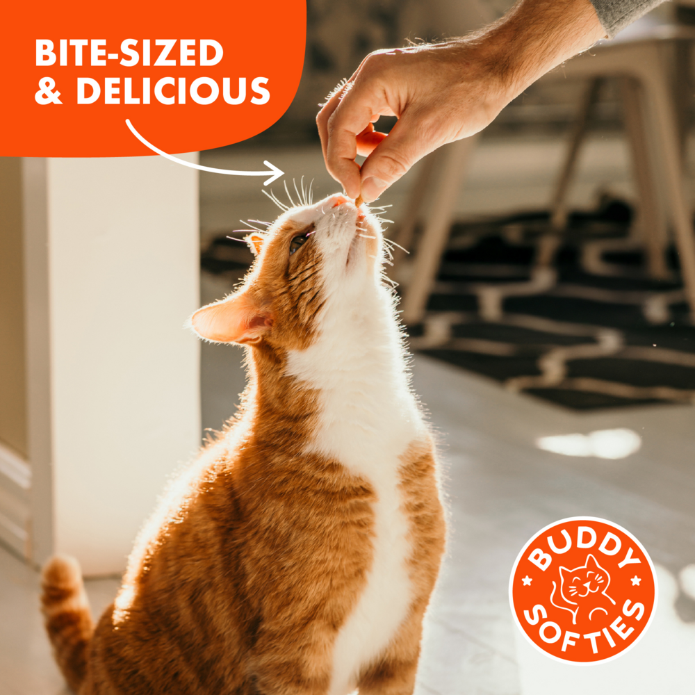 
                  
                    Buddy Biscuits Grain Free Tempting Tuna Cat Treats
                  
                