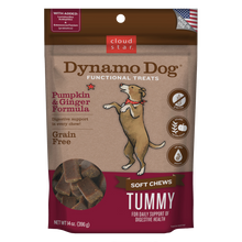 Load image into Gallery viewer, Cloud Star Dynamo Dog Tummy Soft Chews Grain Free Pumpkin &amp; Ginger Dog Treats