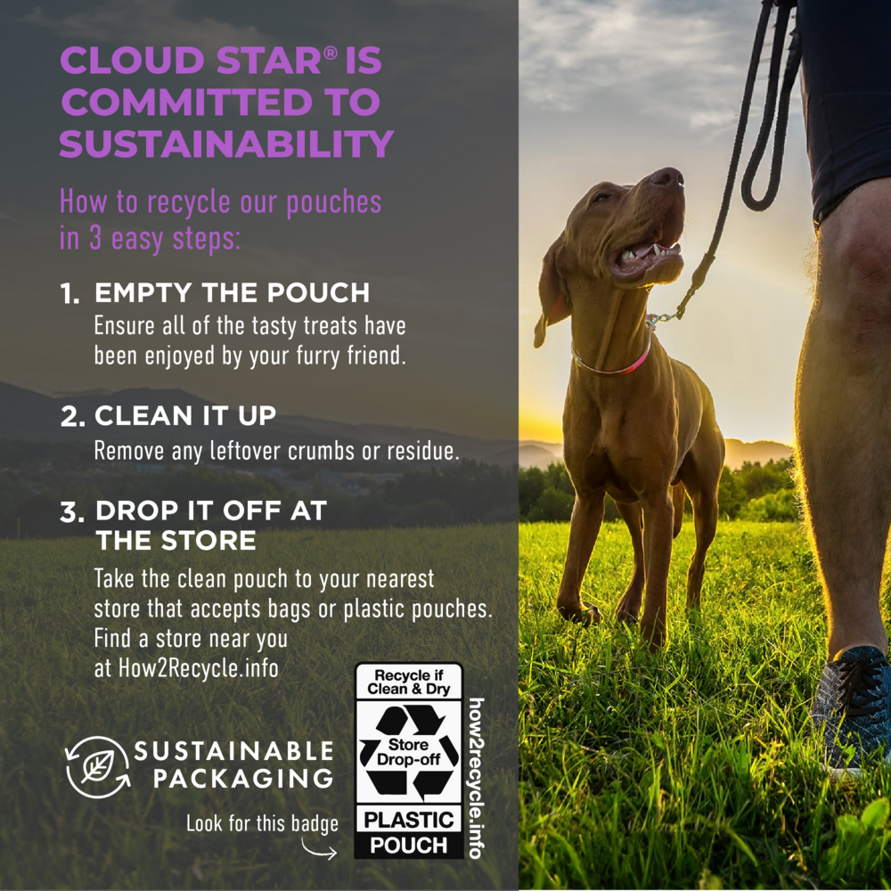 
                  
                    Cloud Star Tricky Trainers Soft & Chewy Liver Dog Treats
                  
                