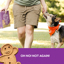 Load image into Gallery viewer, Buddy Biscuits Crunchy Assorted Flavors Dog Treats