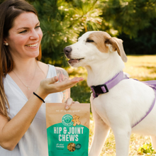 Load image into Gallery viewer, Buddy Biscuits Boosters Soft Chews Chicken Dog Treats