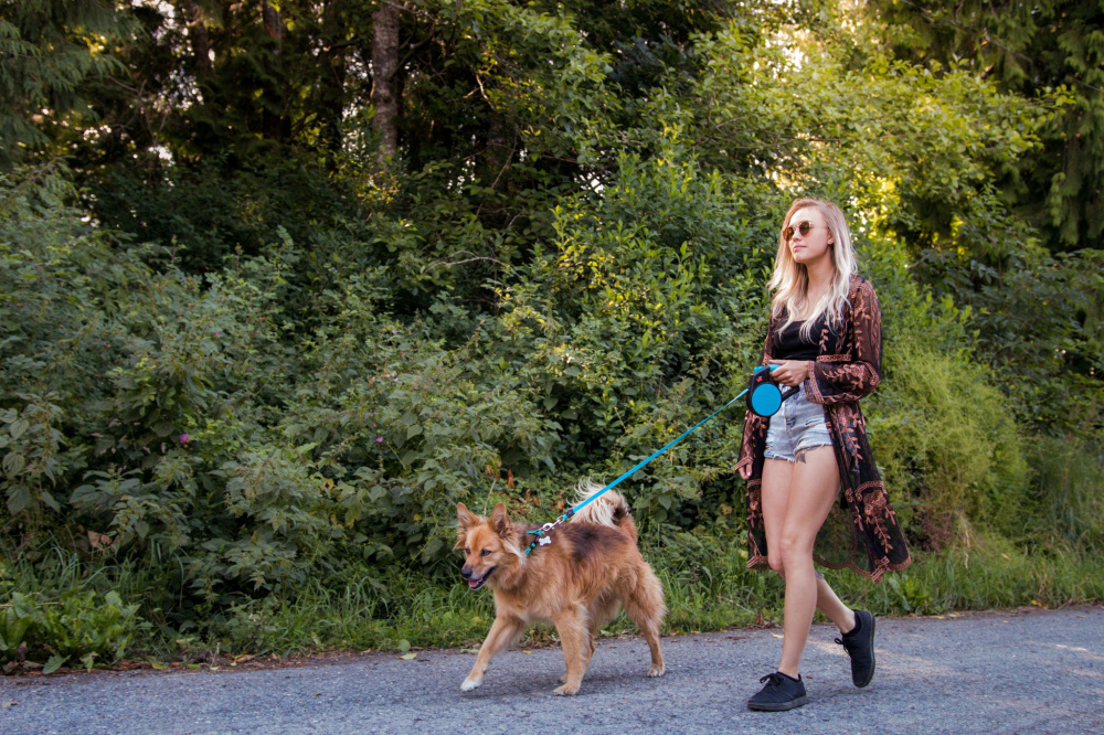 
                  
                    Wigzi Gel Handle Reflective Tape Blue Retractable Dog Leash
                  
                