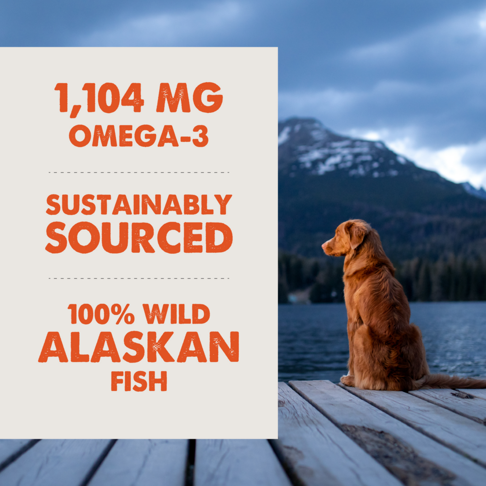 
                  
                    Grizzly Salmon Plus Omega 3-6-9 Food Supplement for Dogs and Cats
                  
                