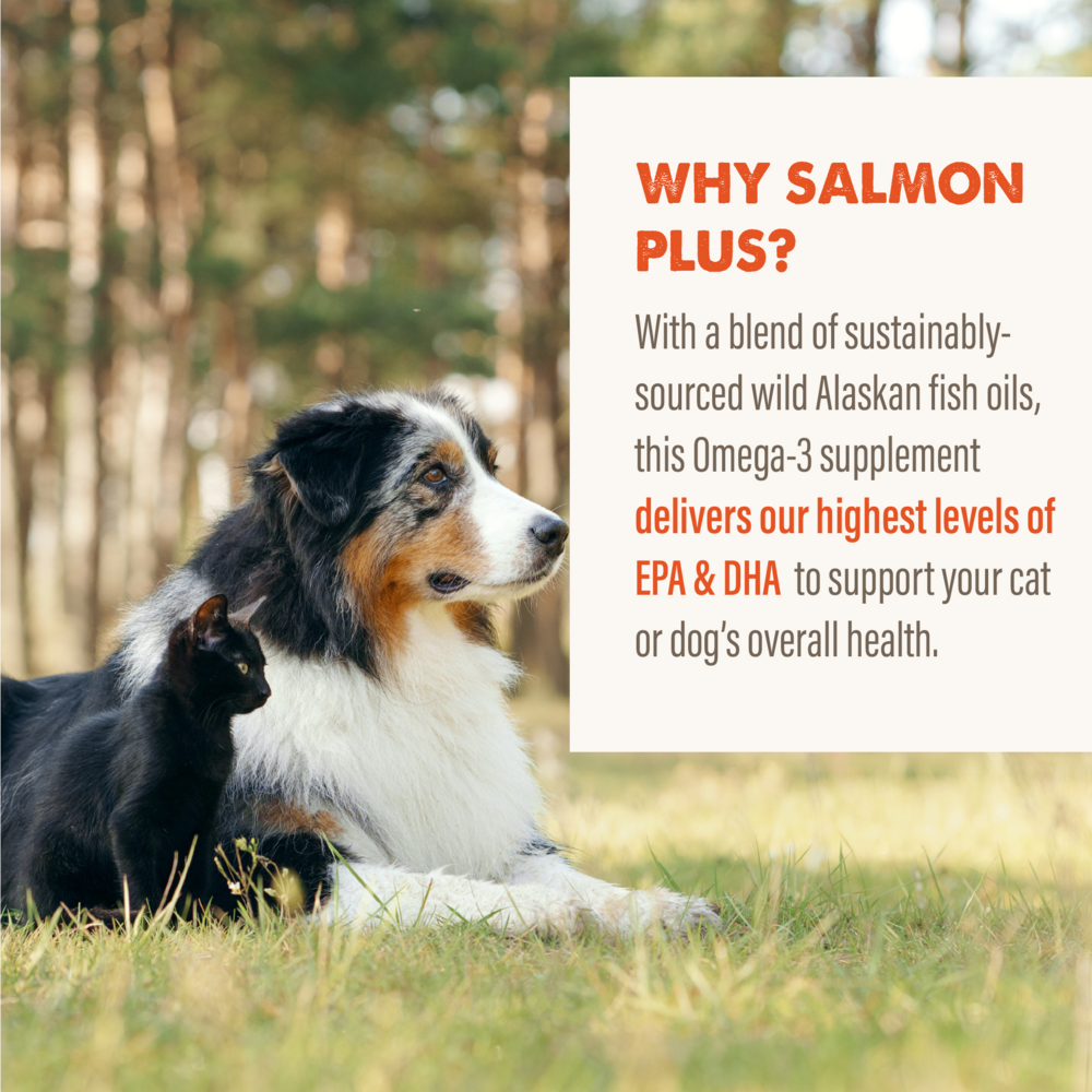 
                  
                    Grizzly Salmon Plus Omega 3-6-9 Food Supplement for Dogs and Cats
                  
                