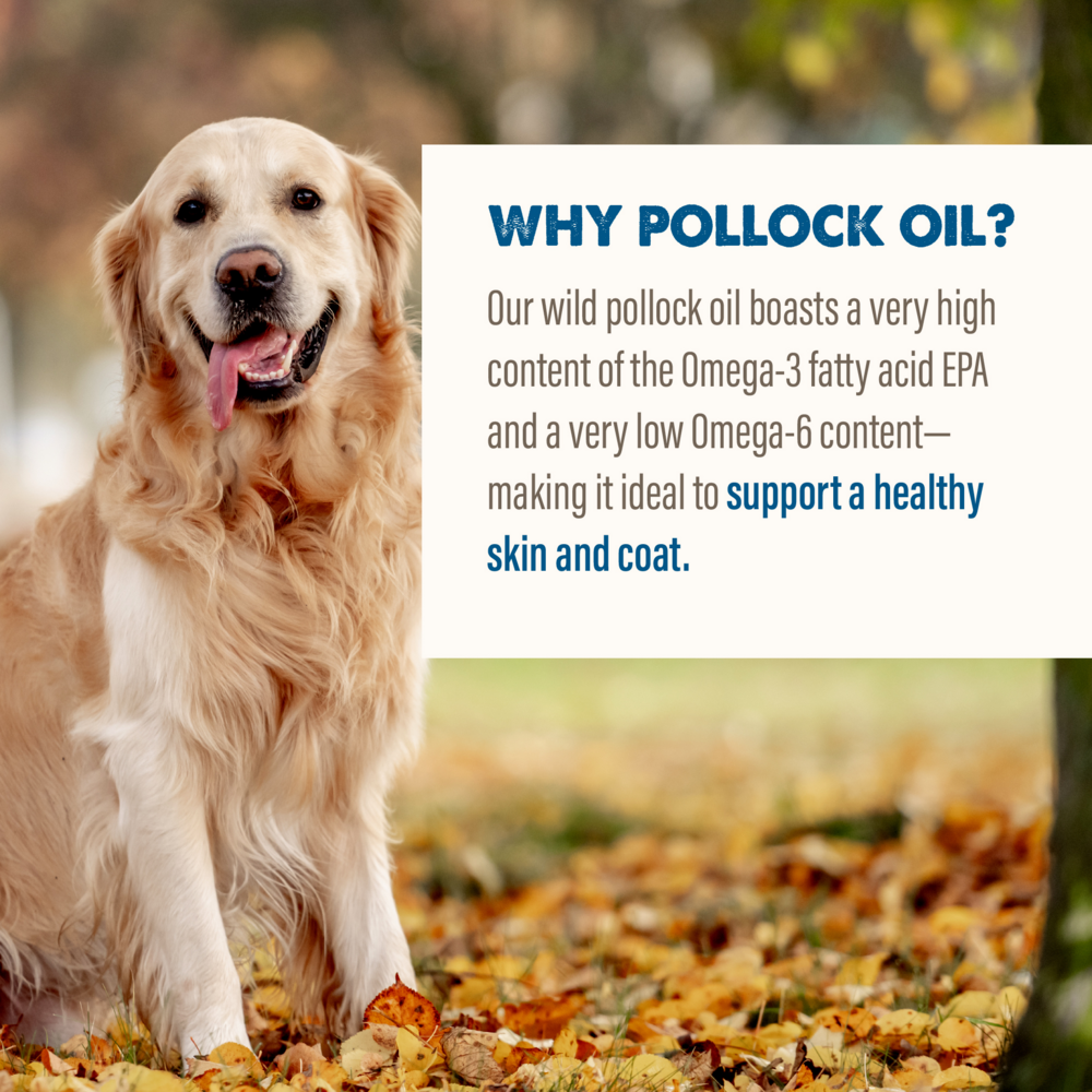 
                  
                    Grizzly Pollock Oil for Dogs
                  
                