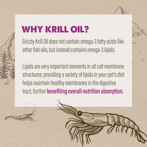 Grizzly Krill Oil Liquid Antioxidant Product for Dogs and Cats