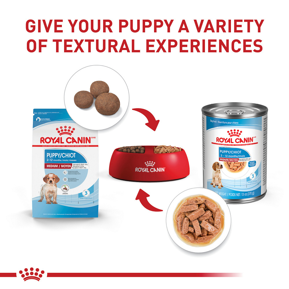 
                  
                    Royal Canin Size Health Nutrition Medium Puppy Thin Slices in Gravy Wet Dog Food
                  
                