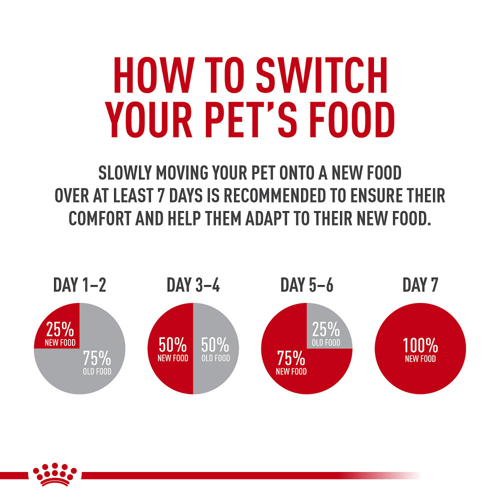 
                  
                    Royal Canin Size Health Nutrition Medium Puppy Thin Slices in Gravy Wet Dog Food
                  
                