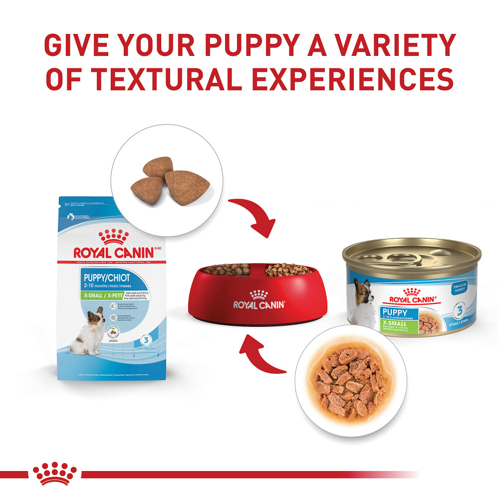 
                  
                    Royal Canin Size Health Nutrition X-Small Puppy Thin Slices in Gravy Wet Dog Food
                  
                