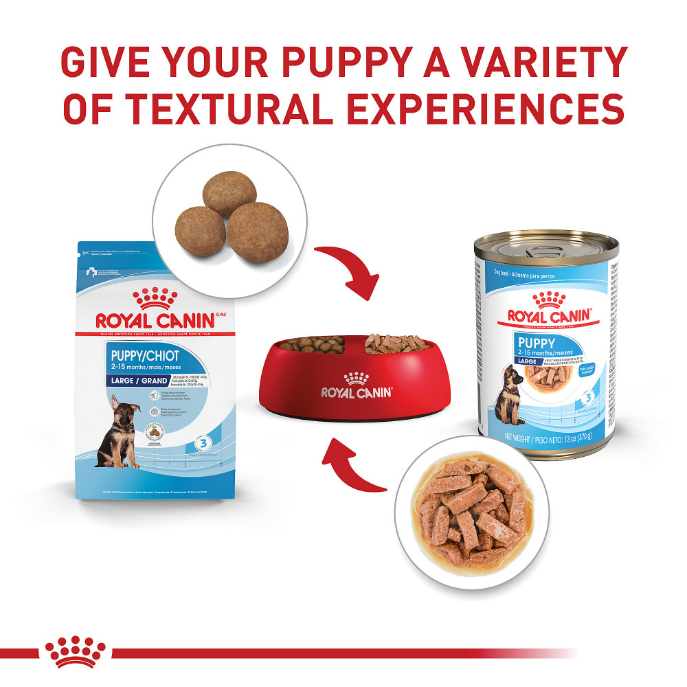 
                  
                    Royal Canin Size Health Nutrition Large Puppy Thin Slices in Gravy Wet Dog Food
                  
                