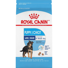 Load image into Gallery viewer, Royal Canin Size Health Nutrition Large Breed Puppy Dry Dog Food