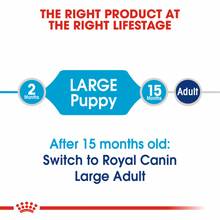 Load image into Gallery viewer, Royal Canin Size Health Nutrition Large Breed Puppy Dry Dog Food