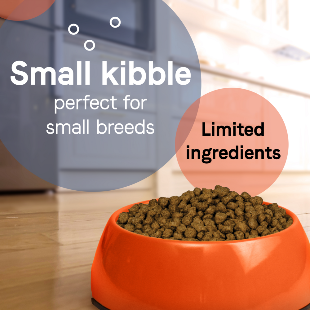 
                  
                    Canidae Pure Petite Premium Recipe Puppy with Chicken and Wholesome Grains Dry Dog Food
                  
                