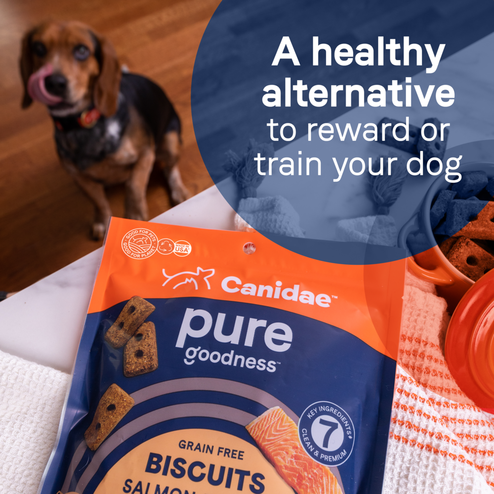 
                  
                    Canidae Pure Biscuit Lamb Liver & Butternut Squash Recipe Treats
                  
                