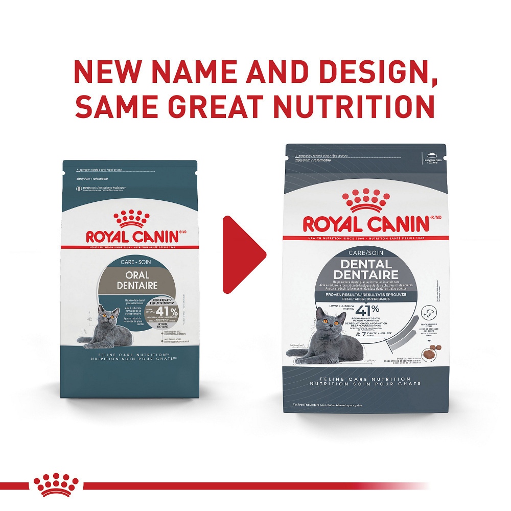 
                  
                    Royal Canin Feline Care Nutrition Dental Care Dry Cat Food
                  
                