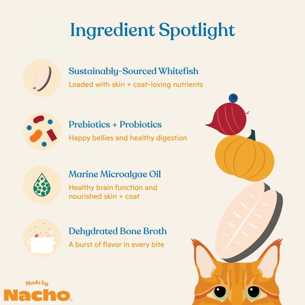 
                  
                    Made By Nacho Skin And Coat Support Sustainably Caught Whitefish & Pumpkin Recipe
                  
                