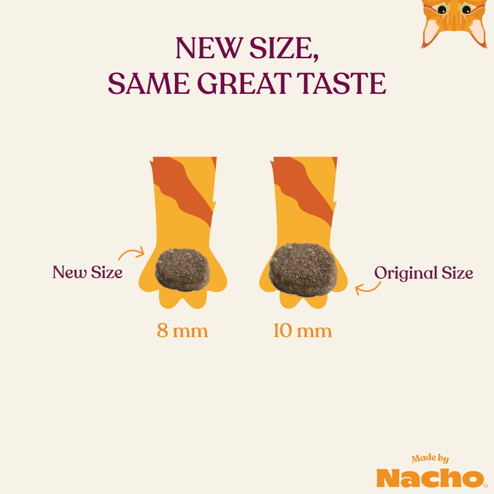 
                  
                    Made by Nacho Salmon & Whitefish & Pumpkin Kibble with Freeze Dried Raw Inclusions
                  
                