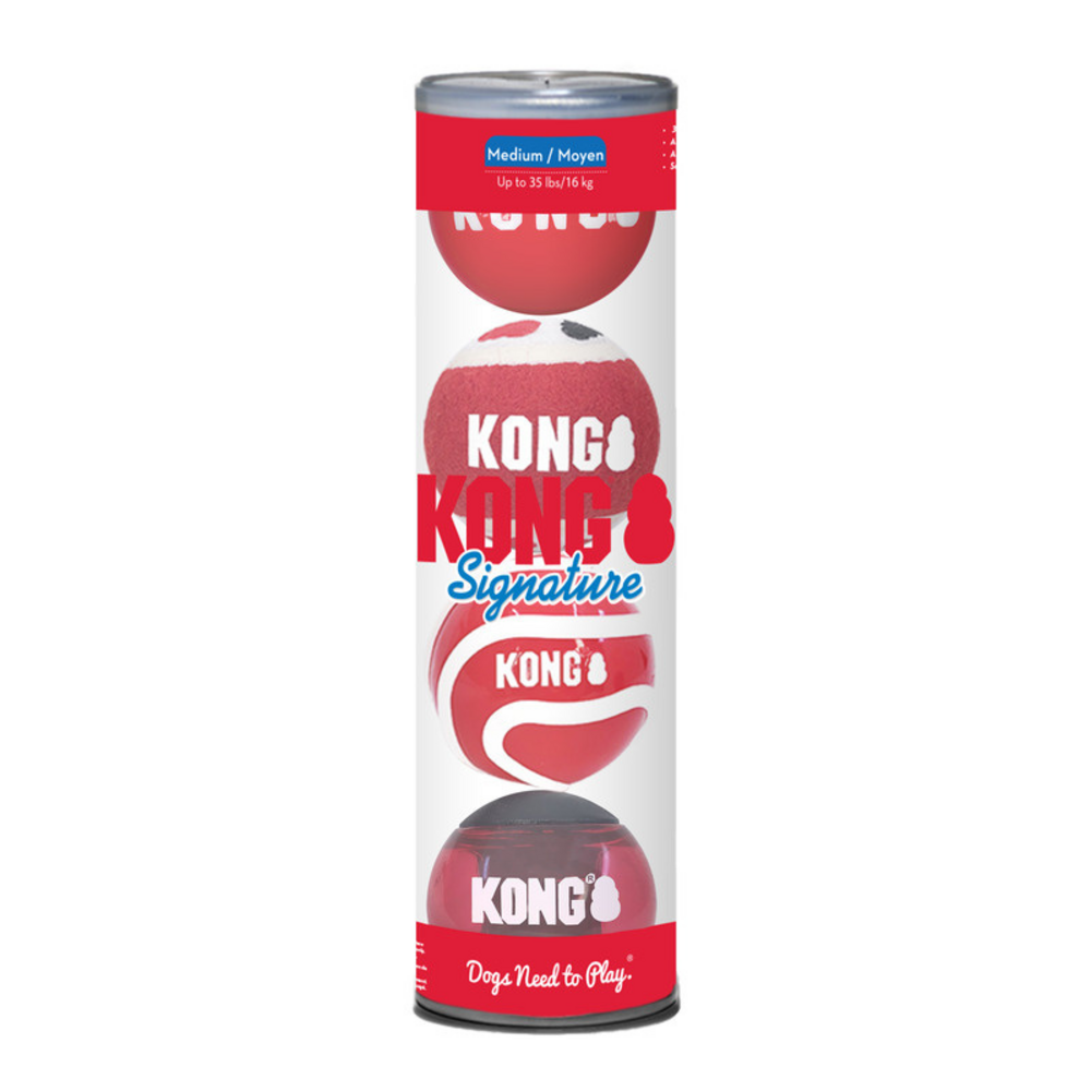 KONG Signature Balls 4 pack Assorted