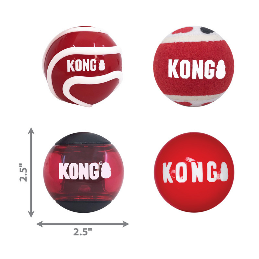 
                  
                    KONG Signature Balls 4 pack Assorted
                  
                