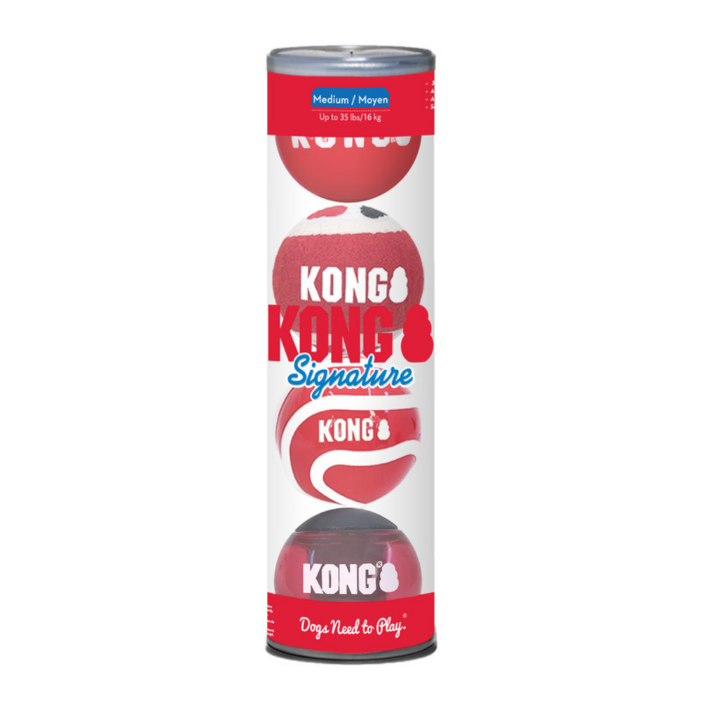Kong Signature Balls 4 pack Assorted