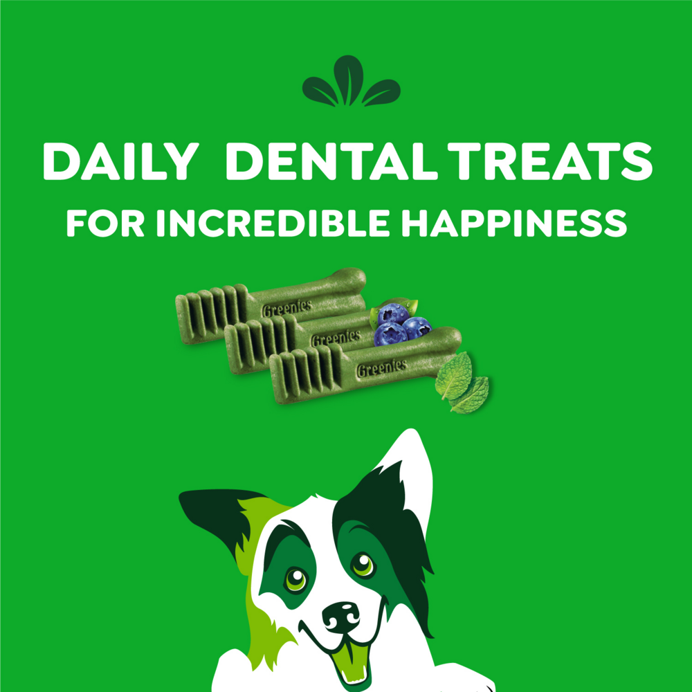 Greenies Regular Chews Flavored with Spearmint and Blueberry Dog Treat