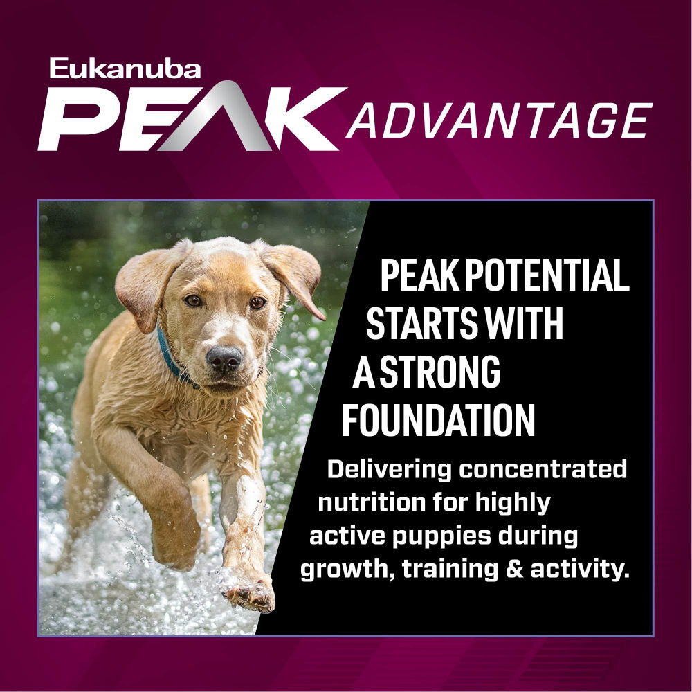 
                  
                    Eukanuba Premium Performance Puppy Pro Dry Dog Food
                  
                