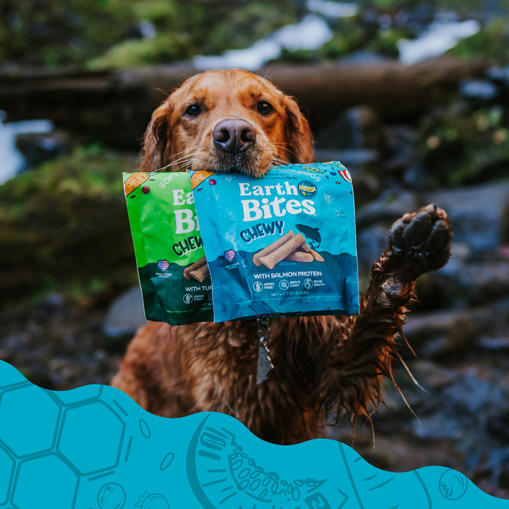 
                  
                    Earthbites Chewy Salmon Dog Treats
                  
                