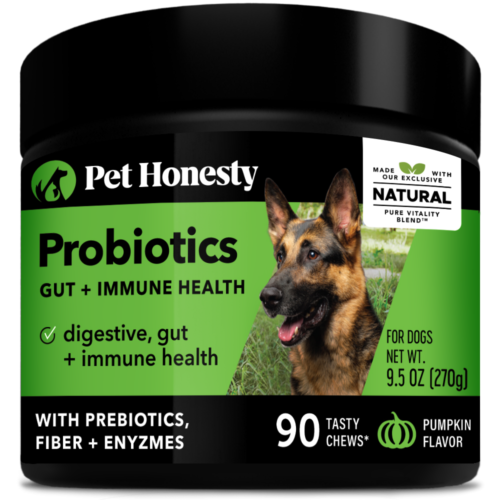 Pet Honesty Dog Digestive Probiotic Gut Health Soft Chews, Pumpkin