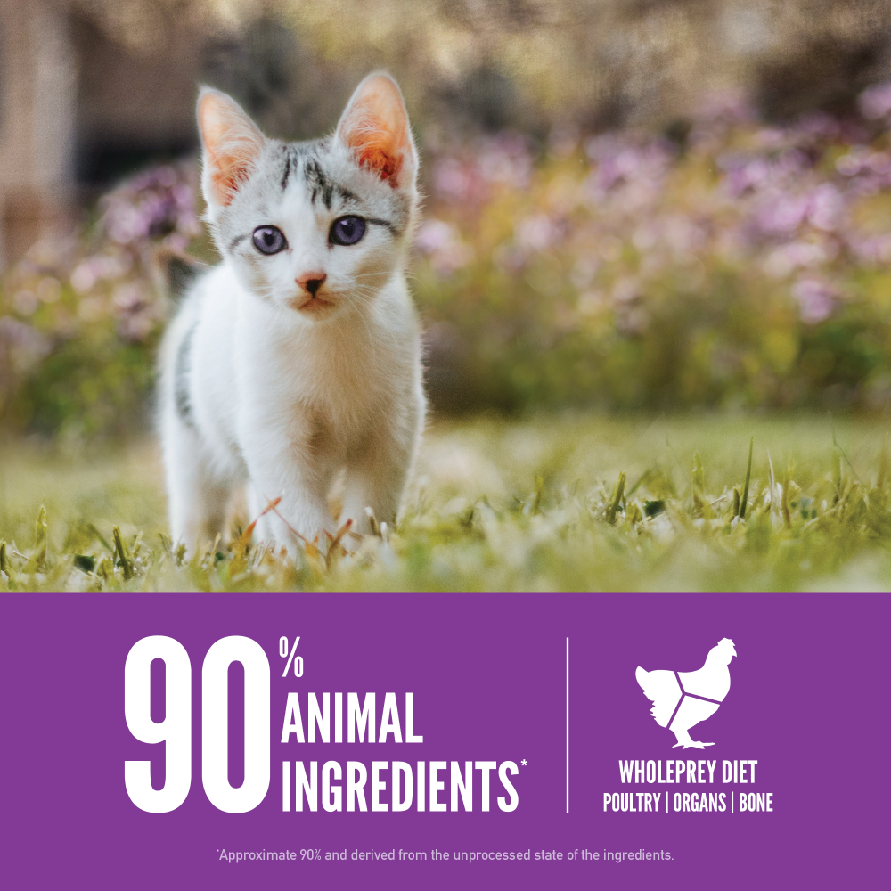 
                  
                    ORIJEN Grain-Free Kitten Recipe Dry Cat Food
                  
                