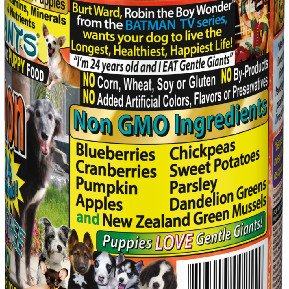 Gentle Giants Non-GMO Grain Free Salmon Dog And Puppy Can Food – Wisconsin  Humane Society