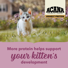 Load image into Gallery viewer, ACANA Highest Protein Dry Food for Kittens