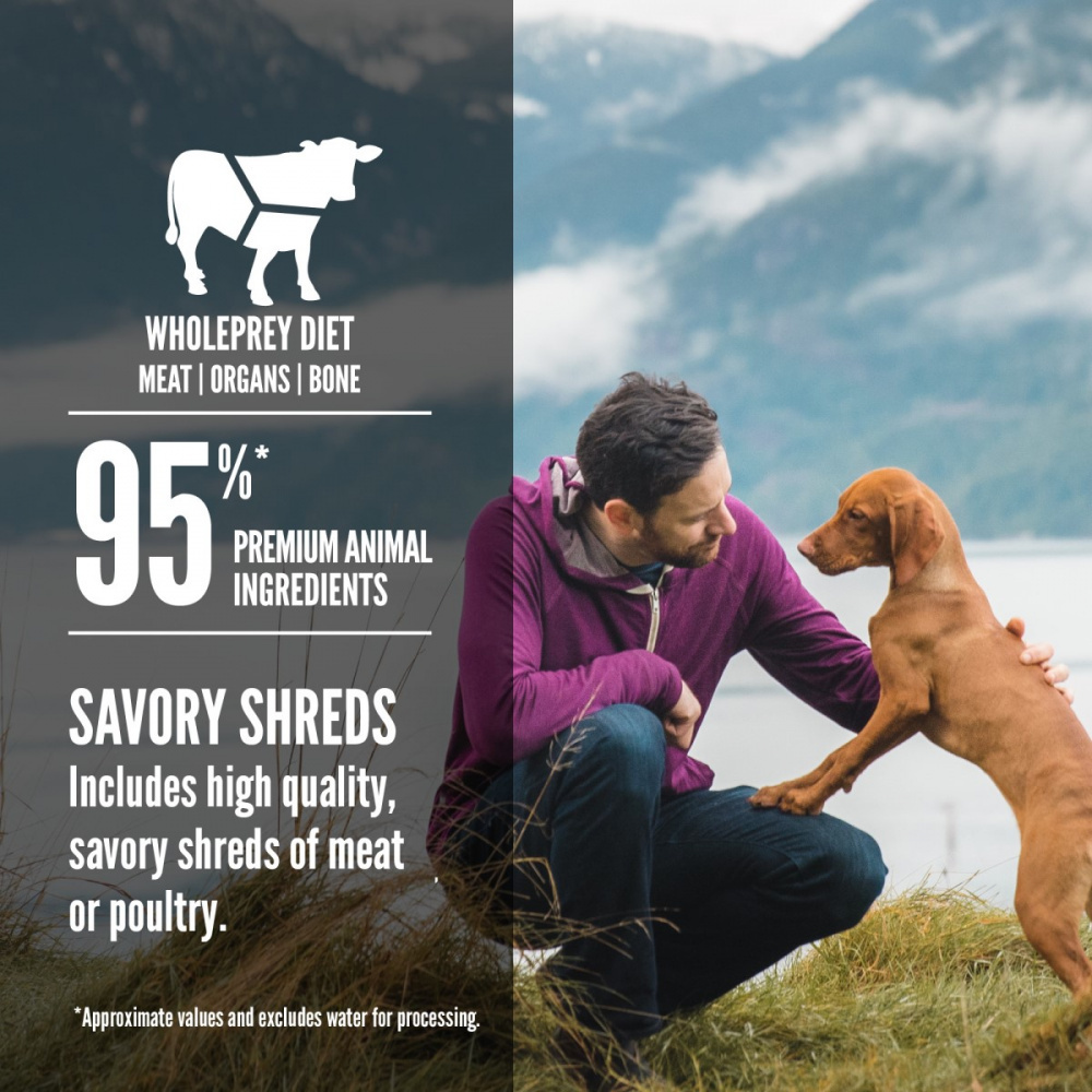 
                  
                    ORIJEN Beef Recipe Stew with Shredded Beef and Eggs Grain Free Dog Food
                  
                