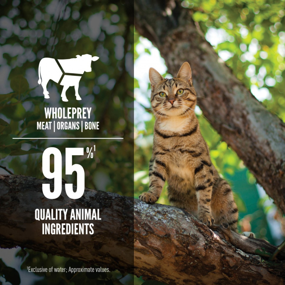 
                  
                    ORIJEN Tuna, Salmon & Beef Entree in Bone Broth Canned Cat Food
                  
                