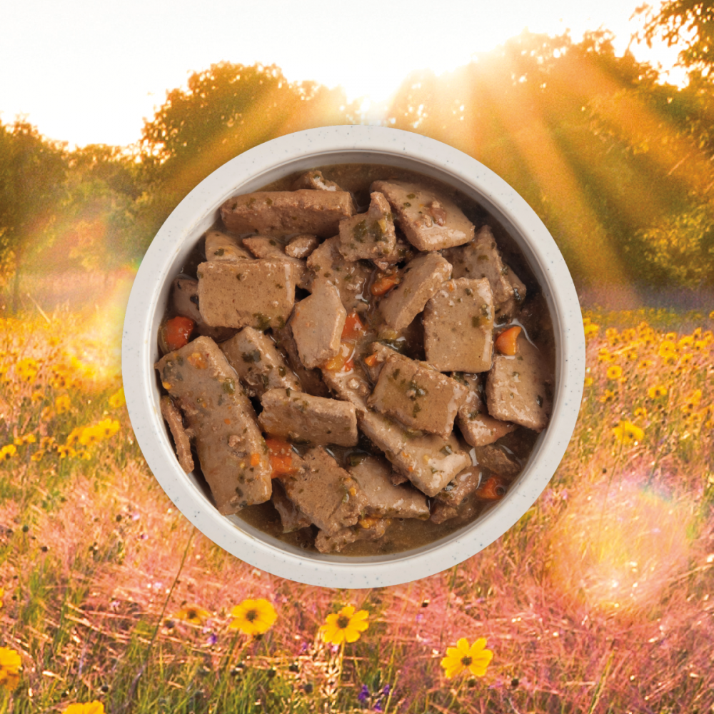 
                  
                    ACANA Premium Chunks Grainfree Lamb Recipe in Bone Broth Wet Dog Food
                  
                