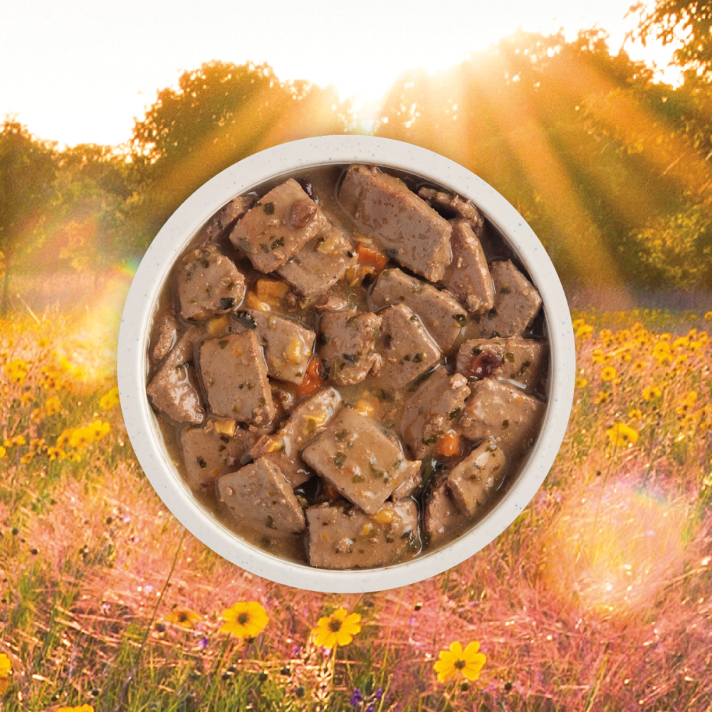 
                  
                    ACANA Premium Chunks Grainfree Pork Recipe in Bone Broth Wet Dog Food
                  
                