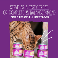 Load image into Gallery viewer, Stella &amp; Chewy&#39;s Carnivore Cravings Savory Shreds Variety Pack Canned Cat Food