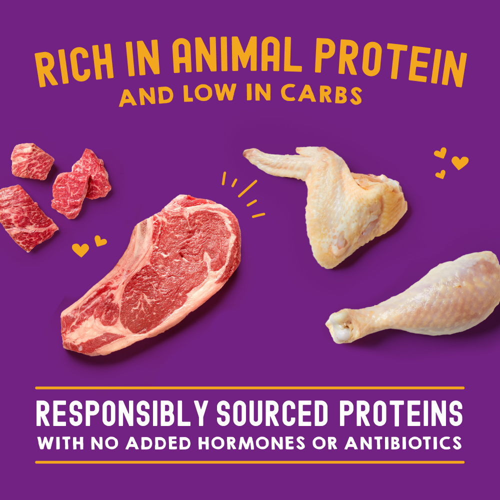 
                  
                    Stella & Chewy's Carnivore Cravings Morsels N Gravy Chicken & Beef Recipe Pouch Cat Food
                  
                