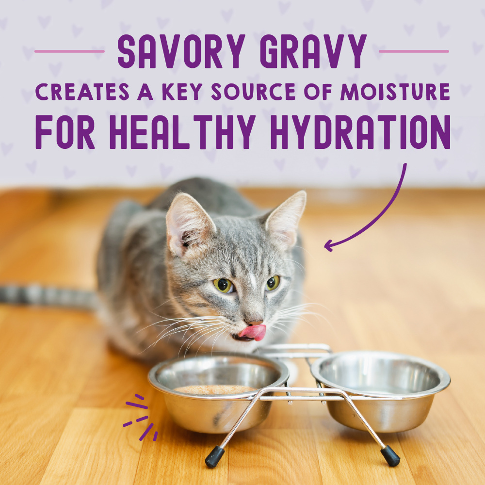 
                  
                    Stella & Chewy's Carnivore Cravings Morsels N Gravy Chicken & Beef Recipe Pouch Cat Food
                  
                