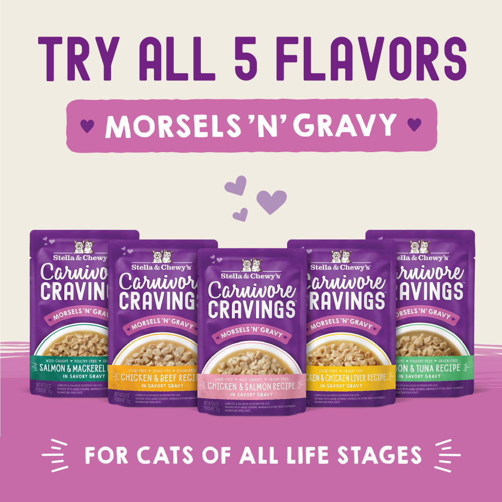
                  
                    Stella & Chewy's Carnivore Cravings Morsels N Gravy Chicken & Beef Recipe Pouch Cat Food
                  
                
