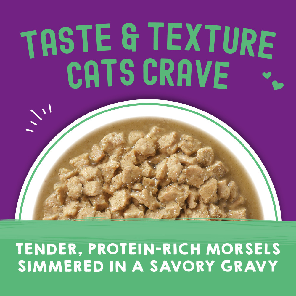 
                  
                    Stella & Chewy's Carnivore Cravings Morsels N Gravy Salmon & Tuna Recipe Pouch Cat Food
                  
                