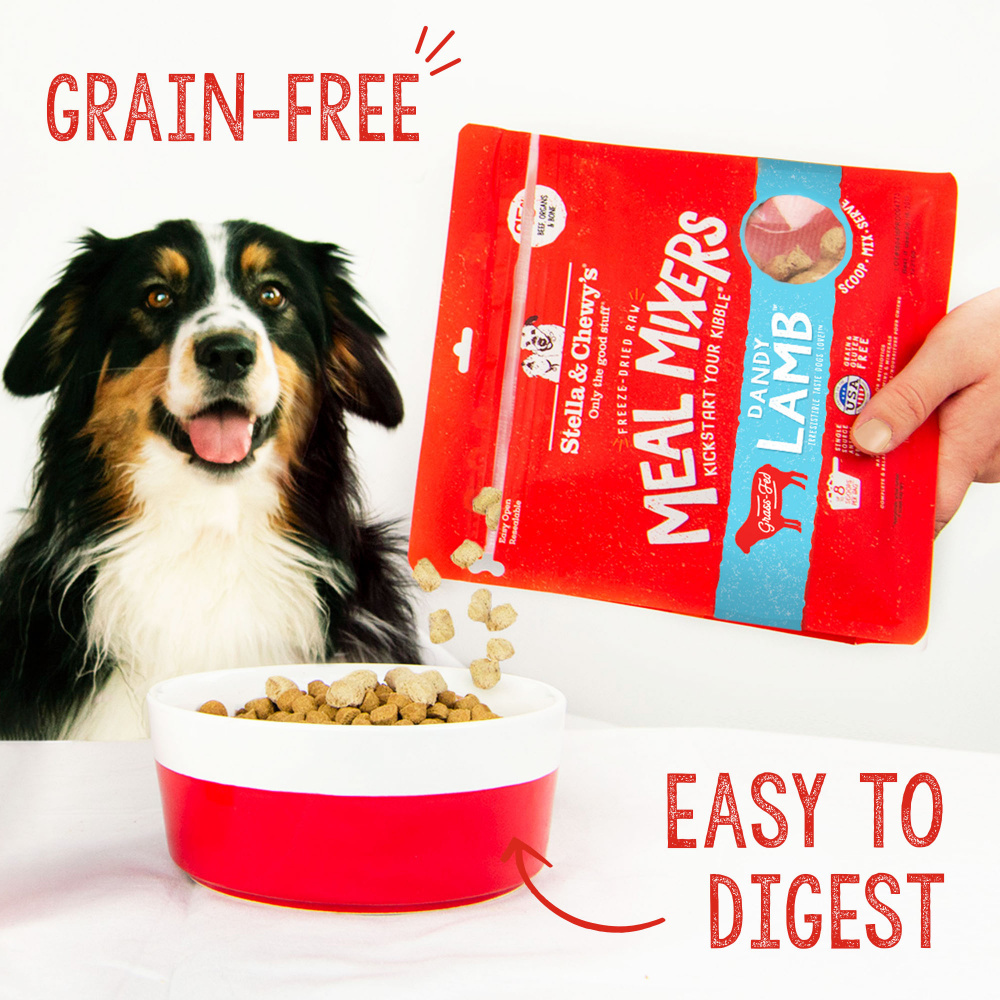 
                  
                    Stella & Chewys Freeze Dried Grain Free Raw Dandy Lamb Meal Protein Rich Mixer Dog Food Topper for Small & Large Breeds
                  
                