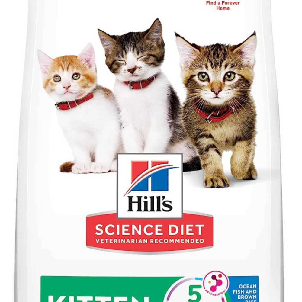 
                  
                    Hill's Science Diet Kitten Dry Ocean Fish & Brown Rice Recipe
                  
                