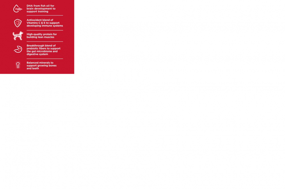 
                  
                    Hill's Science Diet Puppy LG Breed Chicken & Brown Rice Dry Dog Food
                  
                