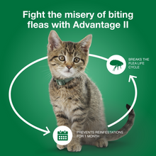 Load image into Gallery viewer, Elanco Advantage II Small Cat